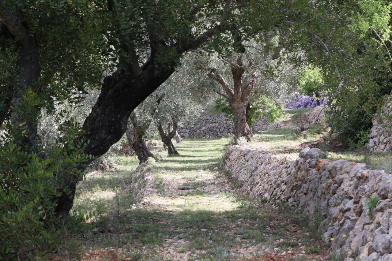 Villa Foia Vella - Adults Only Benigembla Exteriér fotografie