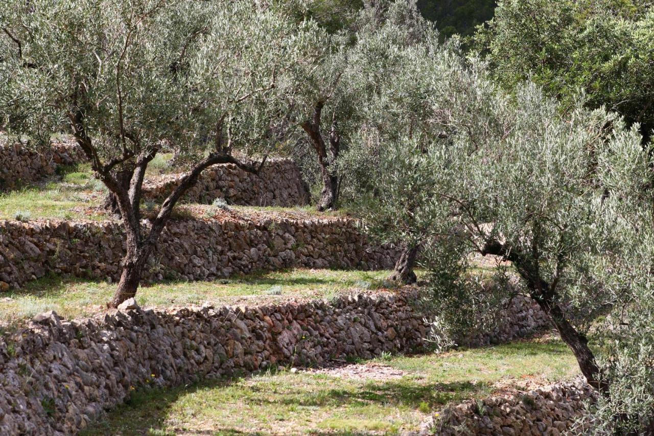 Villa Foia Vella - Adults Only Benigembla Exteriér fotografie